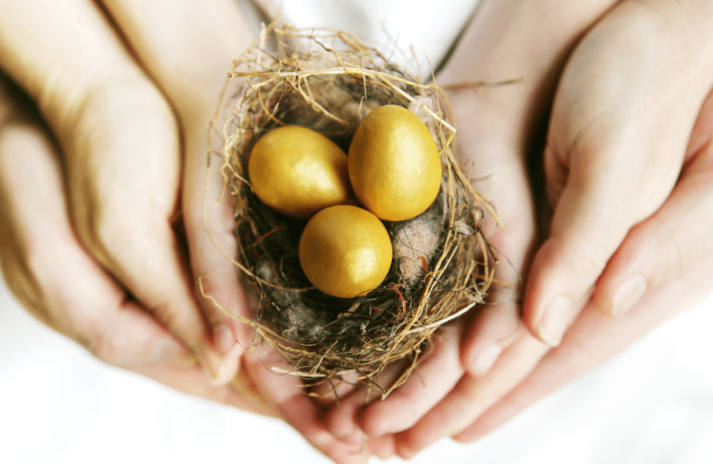 Nest egg for retirement