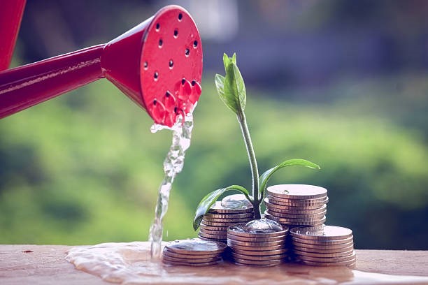 Watering coins to Set Up a Self-Managed Super Fund