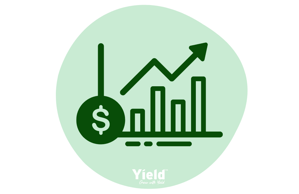 wealth creation investing in shares with Yield Financial Planning